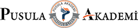Pusula Akademi Koleji Anadolu Lisesi Logo